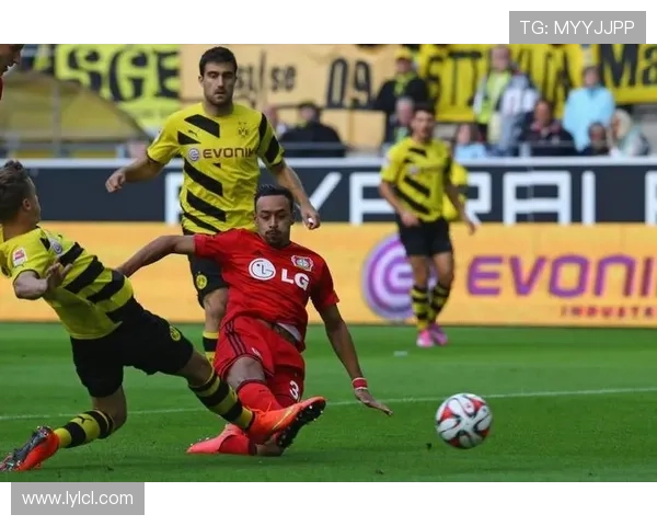 多特主场赛前公益筛查睾丸癌